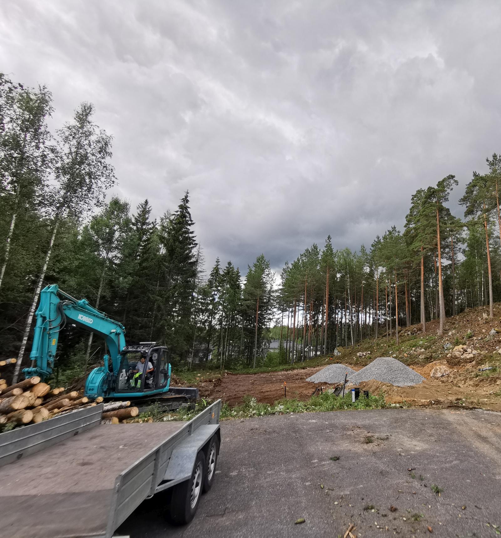 Puunkaato ja kantojen nosto