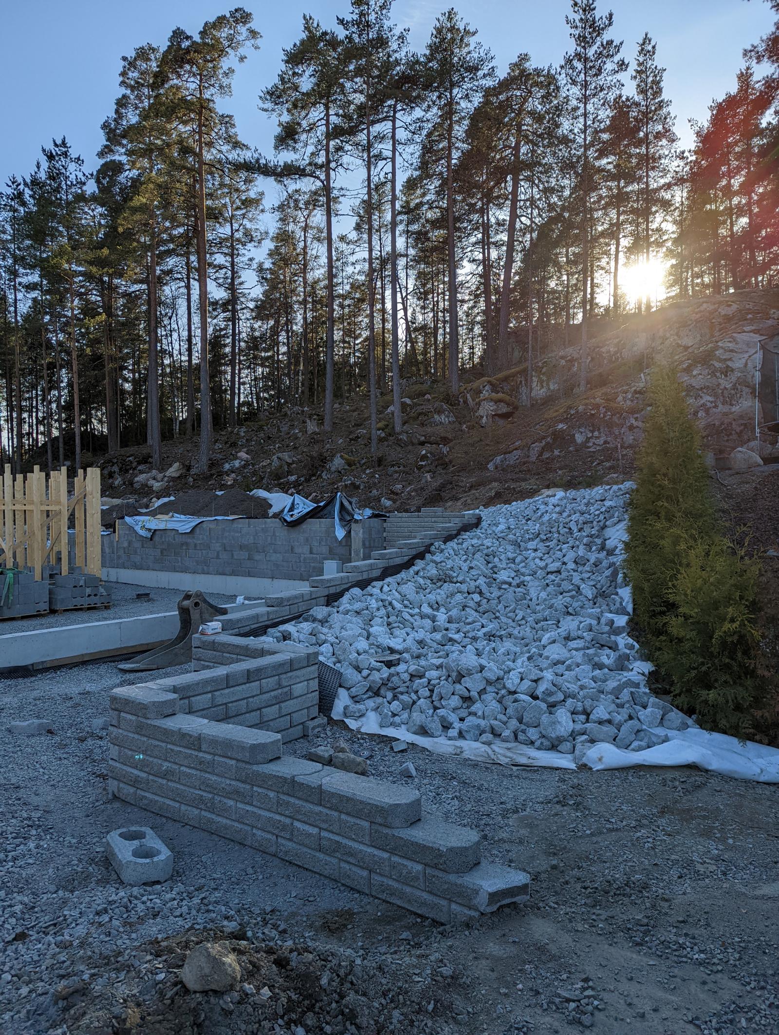 Harkot linjaan auringonlaskussa